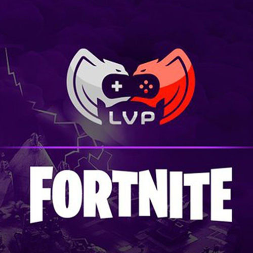 Nombres Para Equipos Competitivos De Fortnite Isiah Niemeyer